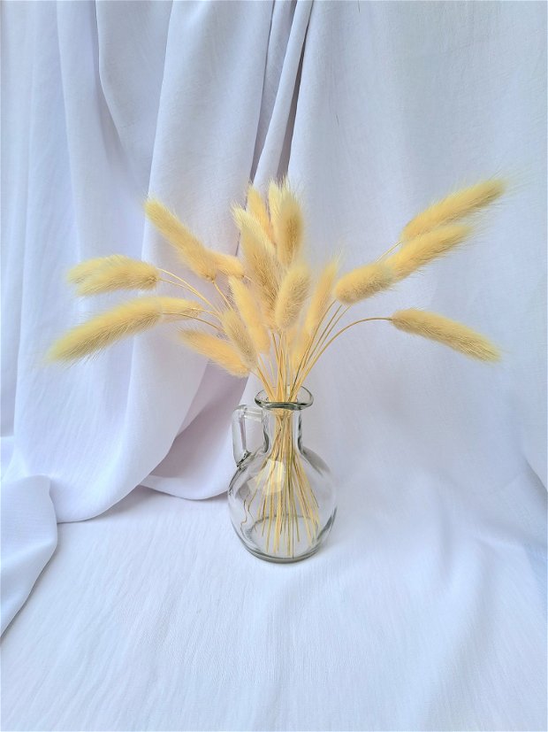 Aranjament floral - Lagurus uscat alb în vază sticlă