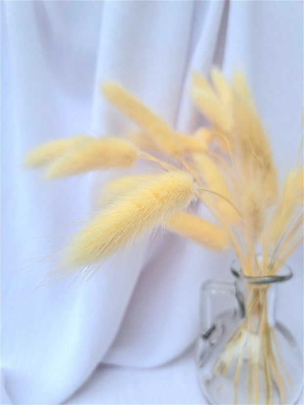 Aranjament floral - Lagurus uscat alb în vază sticlă