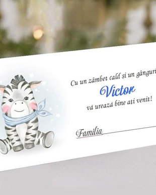 Plic de bani ADORABLE ZEBRA