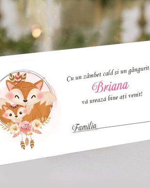 Plic de bani Little Fox