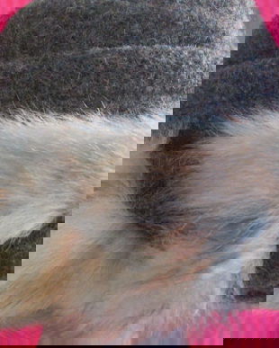 caciula  usoara dame