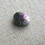 Caboson sidef Paua Shell (C11)