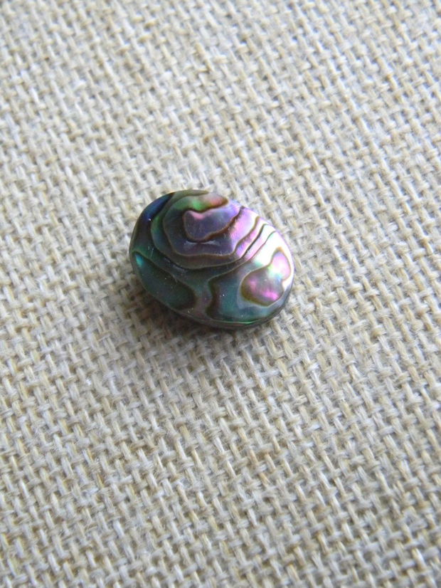 Caboson sidef Paua Shell (C11)