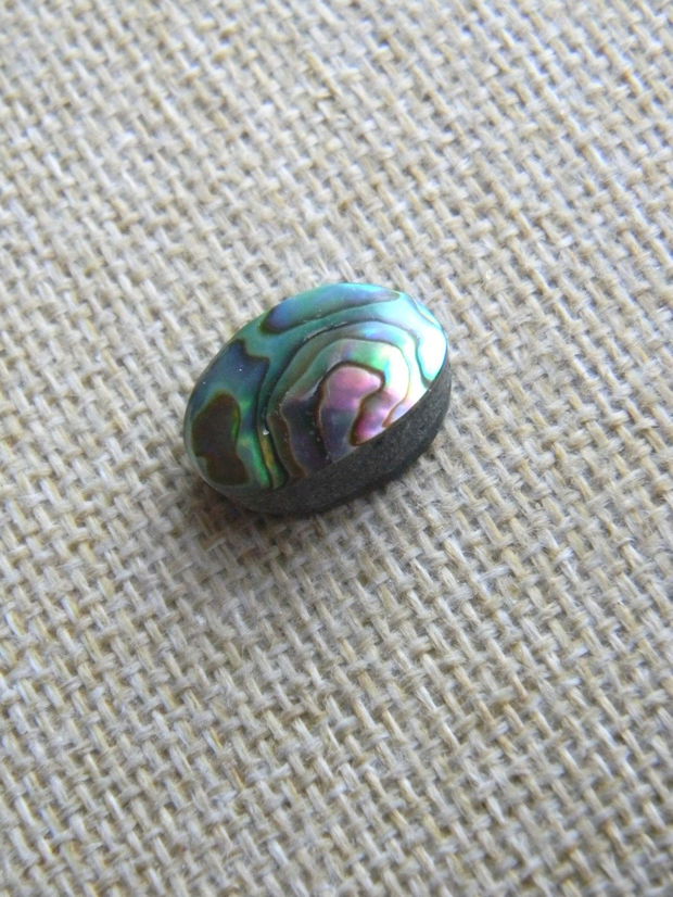 Caboson sidef Paua Shell (C11)