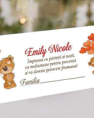 Plic de bani GIRL TEDDY