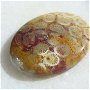 Cabochon coral fosil  (lucrat manual in INDIA) aprox 34.5x26x6.5 mm