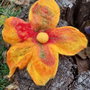 Brosa  impaslita