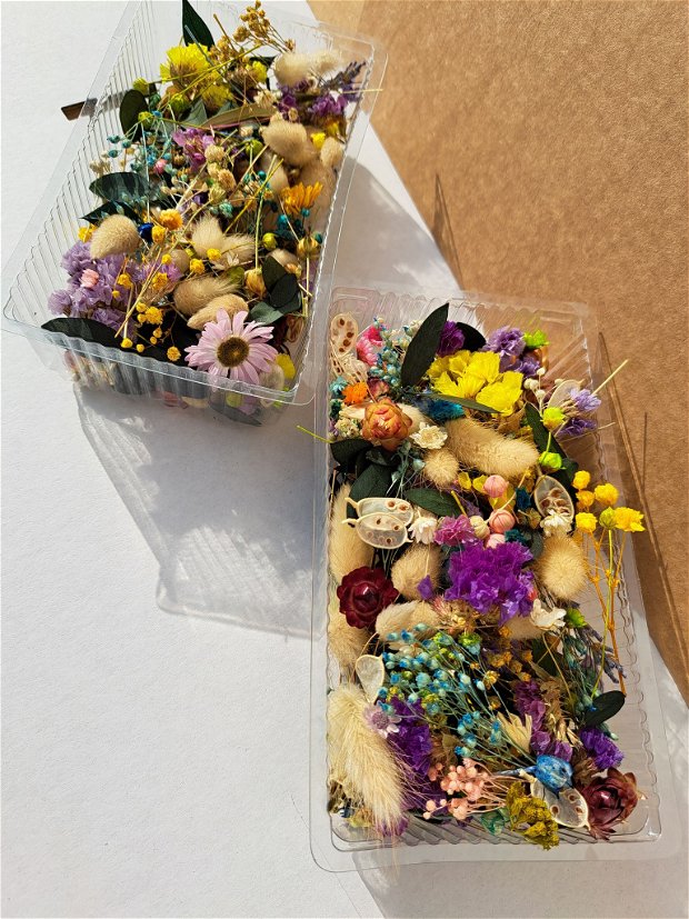 Flori uscate mix -pentru rășină ,25 g/cutie