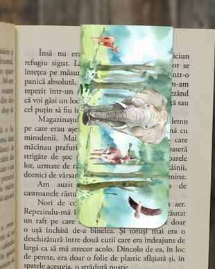 Semn de carte magnetic