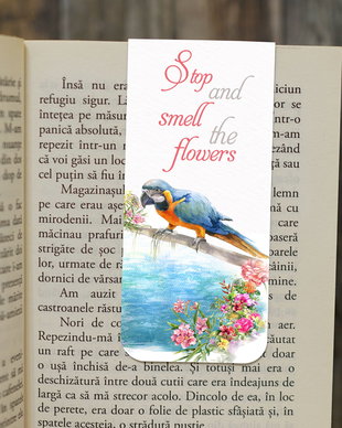 Semn de carte magnetic