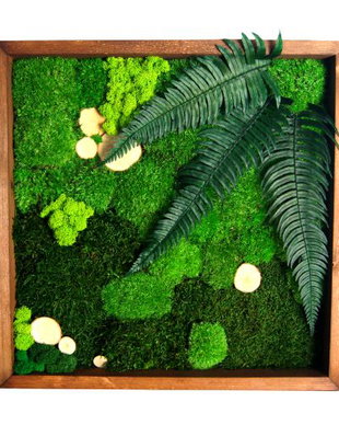 Tablou din licheni 30×30 cm