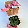 Cadou Crăciun - plantă naturală suculentă , Sempervivum