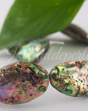 Paua shell 15-16x23-29mm (1)