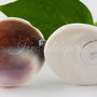 Scoica 43~46x32~35x14~16mm (1)