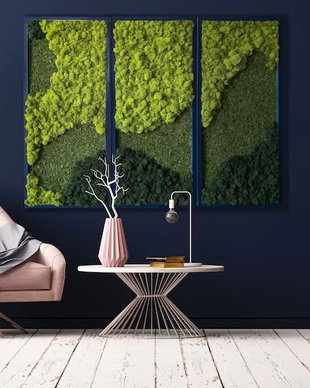 Tablou din licheni 100x40 cm