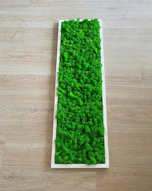 Tablou din licheni 100x30 cm