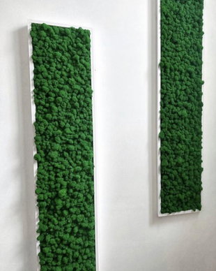 Tablou din licheni 100x25 cm