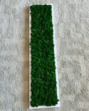 Tablou din licheni 100x25 cm