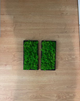 Set tablouri din licheni 30x15 cm