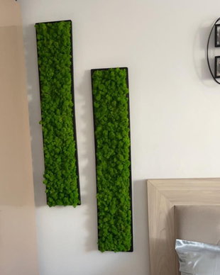 Set tablouri din licheni 100x20 cm