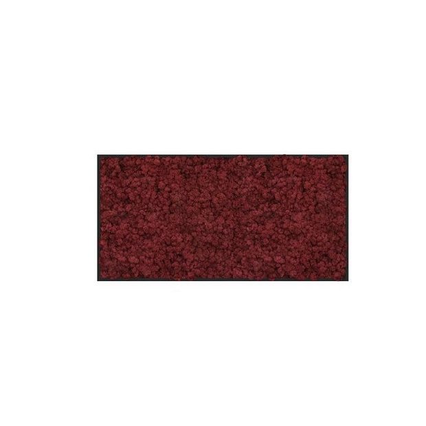 Tablou din licheni 100x60 cm