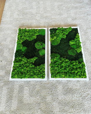 Set tablouri din licheni 70x40 cm
