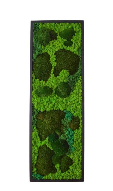 Tablou din licheni 120x30 cm