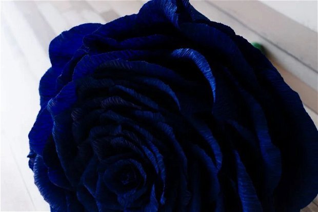 Trandafir albastru urias din hartie