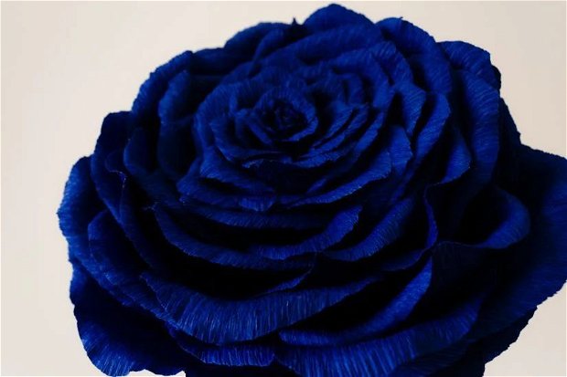 Trandafir albastru urias din hartie