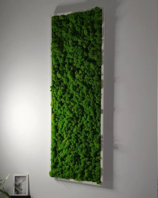 Tablou din licheni naturali