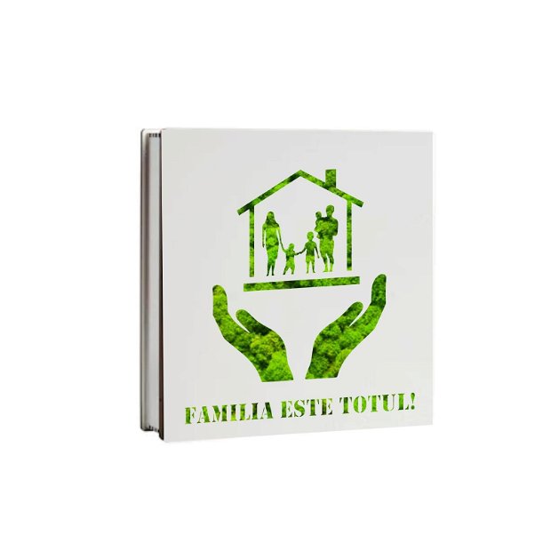 Cutie Aranjament Licheni Stabilizati, Familia Este Totul, Verde, DL020