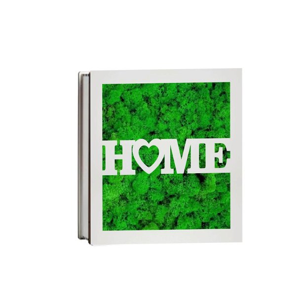 Cutie Aranjament Licheni Stabilizati, Home, Verde, DL014