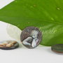 Sidef cabochon 12mm (1)
