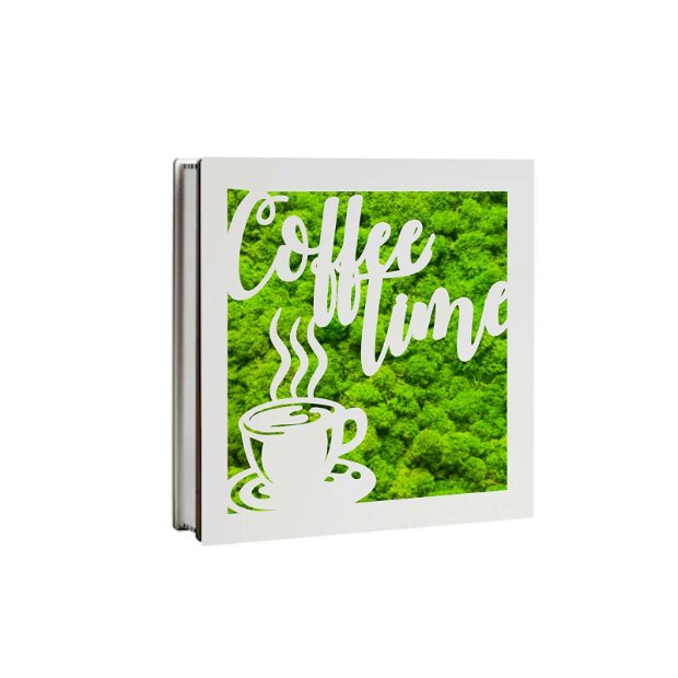 Cutie Aranjament Licheni Stabilizati, Coffee Time, Verde, DL023