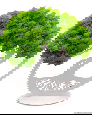 Decoratiune Bonsaiul Vietii Cu Licheni Naturali Stabilizati, Verde Primavara, DL005