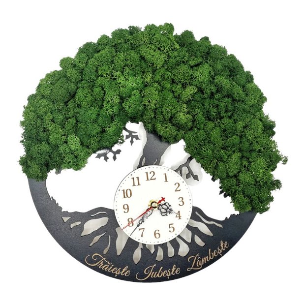 Decoratiune Ceas, Copacul Vietii Cu Licheni Naturali Stabilizati, Verde Broccoli, DL004