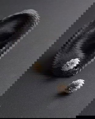 Cercei arici de mare