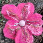 Brosa impaslita