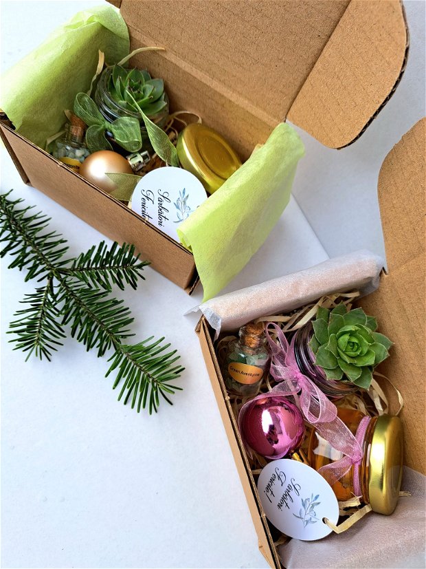 Cadou set Crăciun - plantă naturală suculentă Sempervivum, sticluță Amazonite și borcănel miere