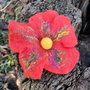 Brosa impaslita