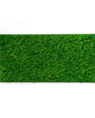 Tablou din licheni naturali