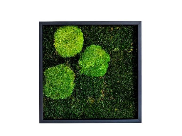 Tablou din licheni naturali 20x20 cm