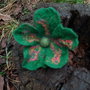 Brosa impaslita