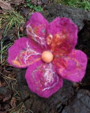 Brosa impaslita
