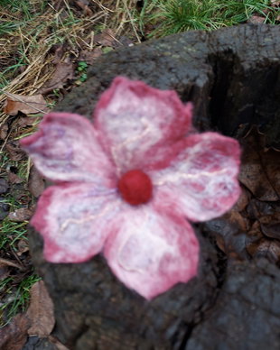 Brosa impaslita
