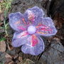 Brosa impaslita