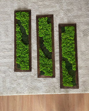 Tablou din licheni 100x20 cm