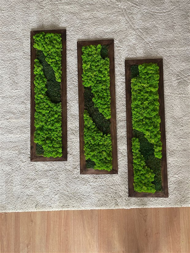 Tablou din licheni 100x20 cm