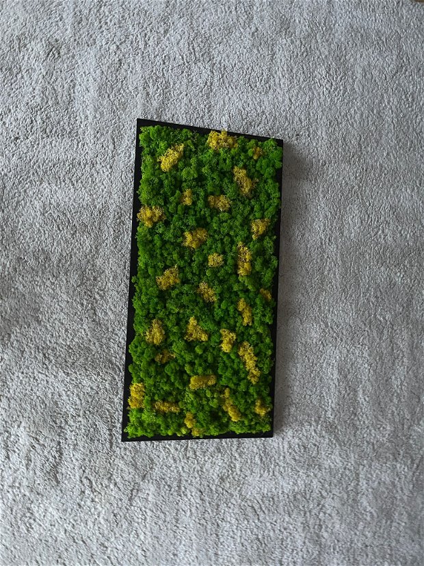 Tablou din licheni 80x40 cm
