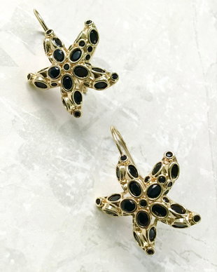 Cercei stelute cubic zirconia & inox gold